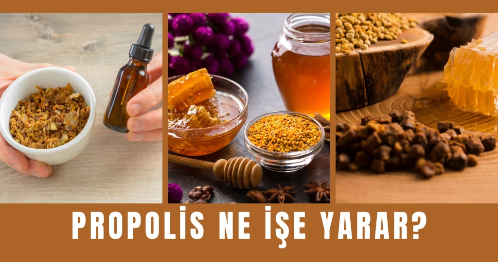 Propolis Ne İşe Yarar?