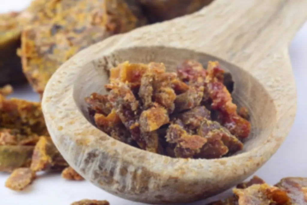 Propolis Nedir