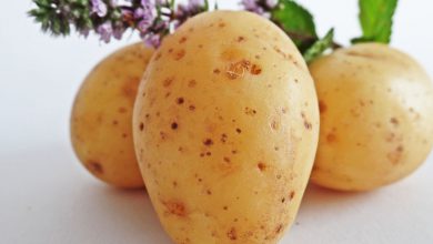 Patates Maskesi Suna Dumankaya Tarifleri 2026 Yaşlanma Karşıtı Patates Maskesi