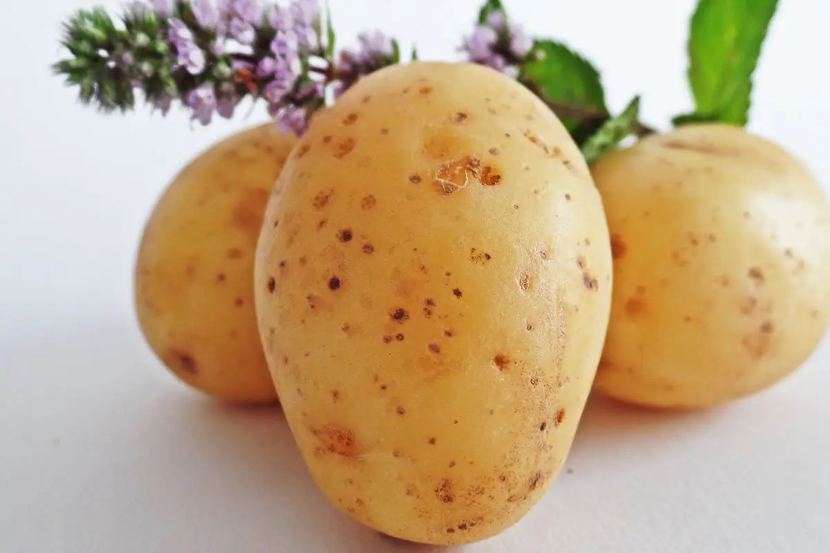 Patates Maskesi