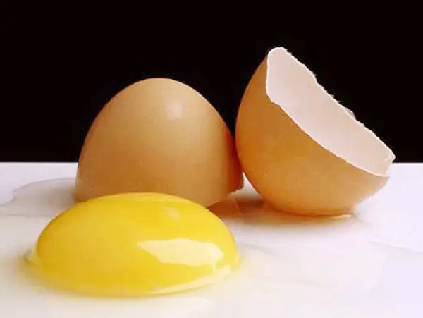 Yumurta Akı ile Yanık Tedavisi