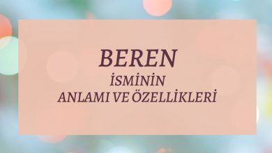 Beren İsminin Anlamı ve Özellikleri 2026 Duru İsminin Anlamı Beren İsminin Anlamı ve Özellikleri