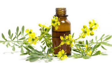 Litsea Cubeba Yağı Ne İşe Yarar? 2026 Bacak Çatlakları Litsea Cubeba Yağı Ne İşe Yarar?