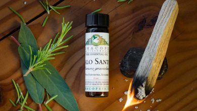 Palo Santo Yağı Ne İşe Yarar? 2026 Göz Altı Kırışıklıkları Palo Santo Yağı Ne İşe Yarar?