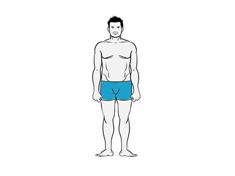 Endomorf vücut tipi