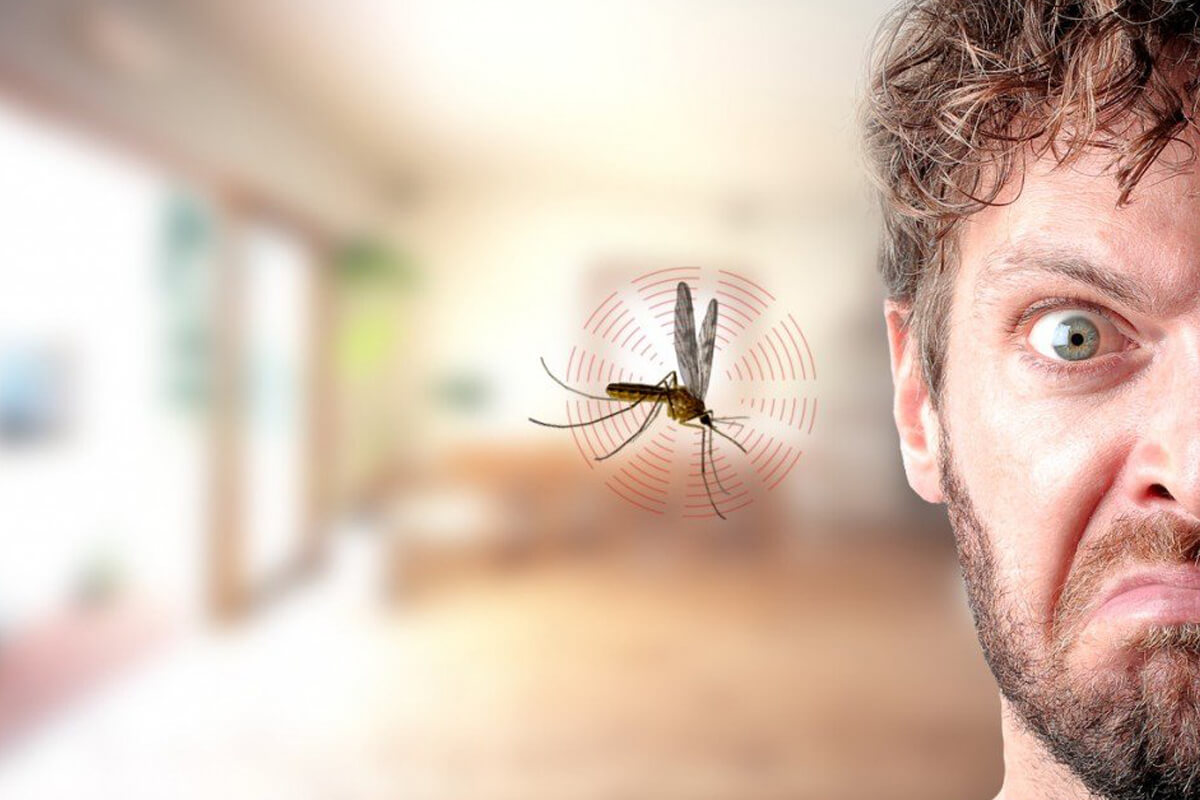 Sivrisinekleri Uzak Tutmanın Yolları