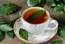 Defne Çiçeği Çayı Ne İşe Yarar?