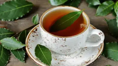 Defne Çiçeği Çayı Ne İşe Yarar?