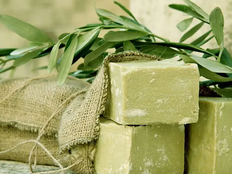 Zengin antioksidanlarla doludur