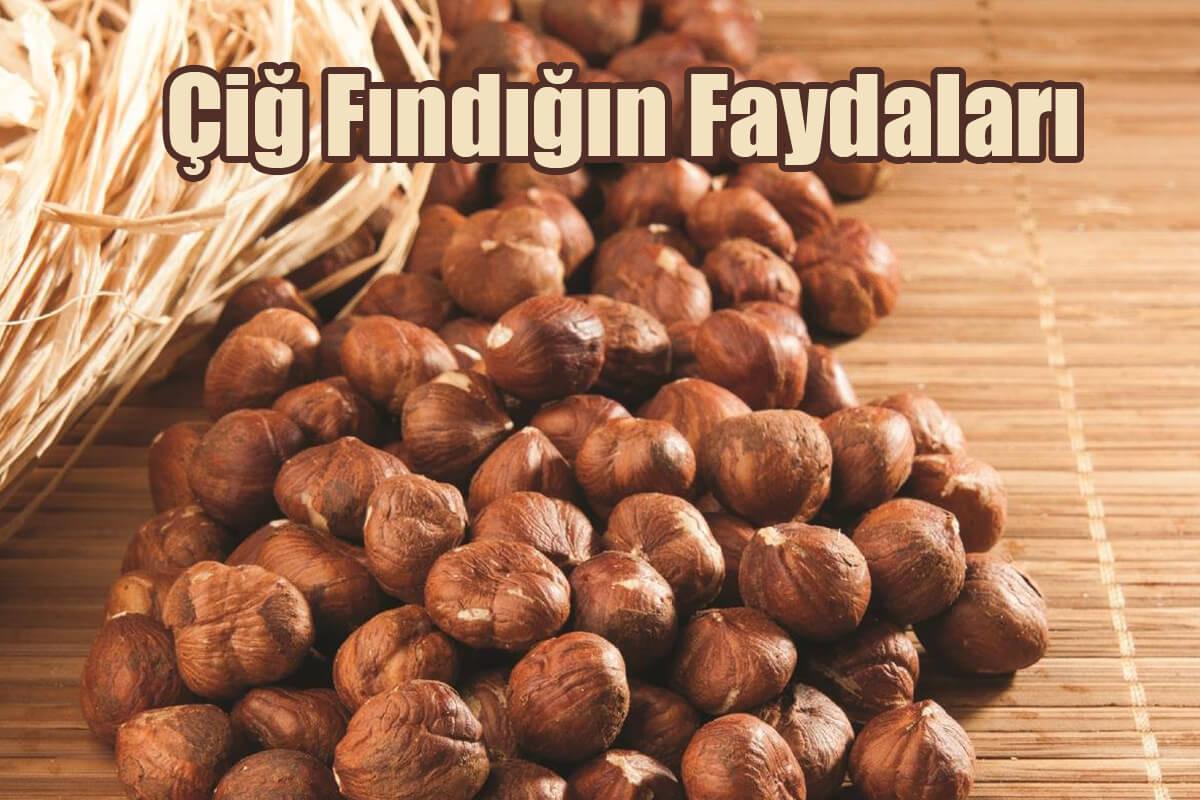 Çiğ Fındığın Faydaları Nelerdir?