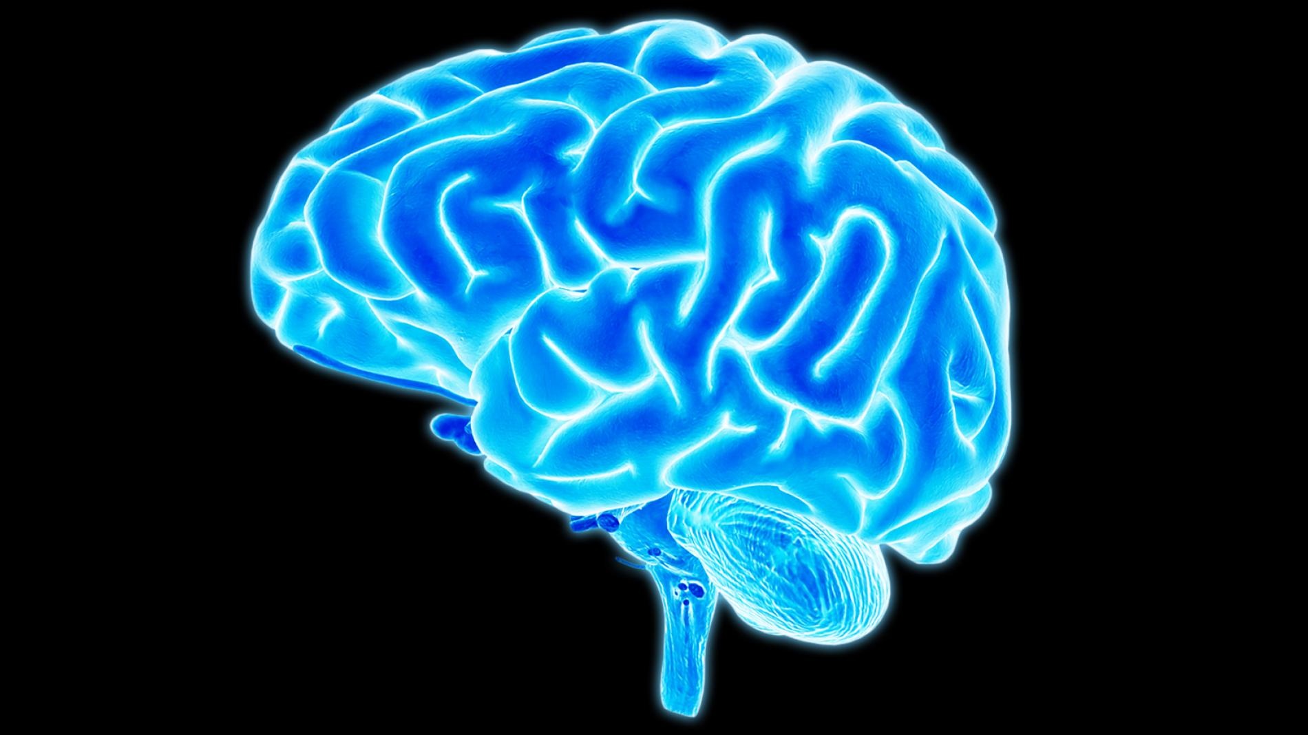 İnsan beyninin yüzde kaçını kullanıyor