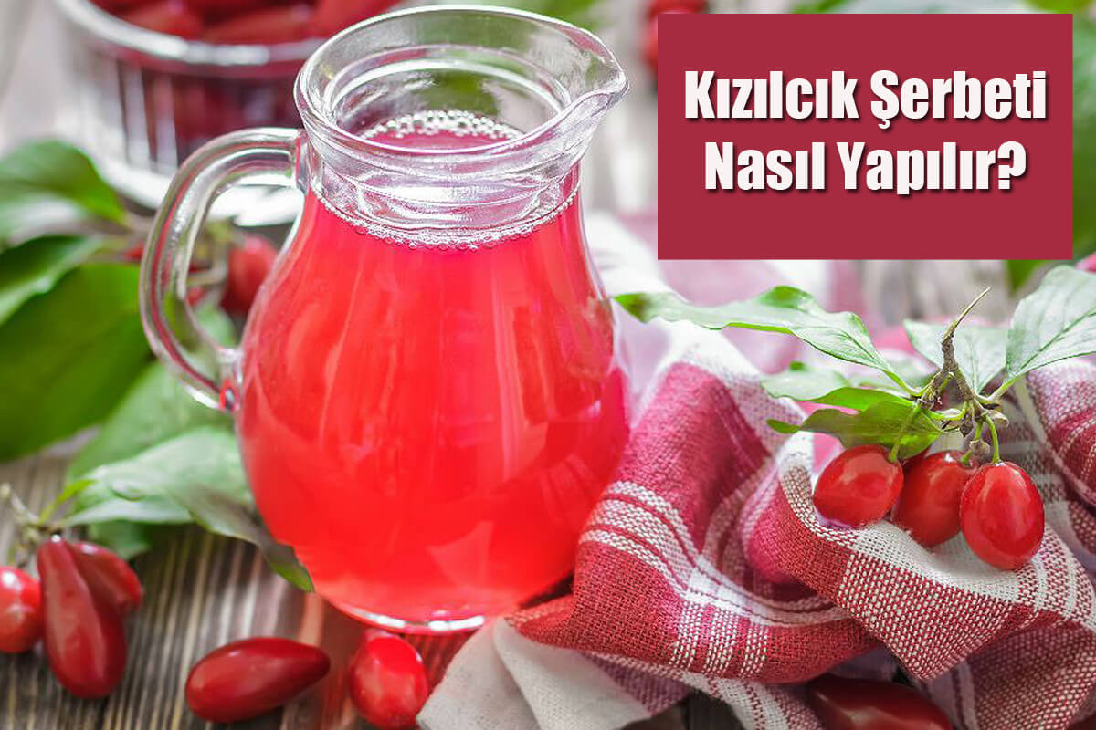 Kızılcık Şerbeti Nasıl Yapılır?