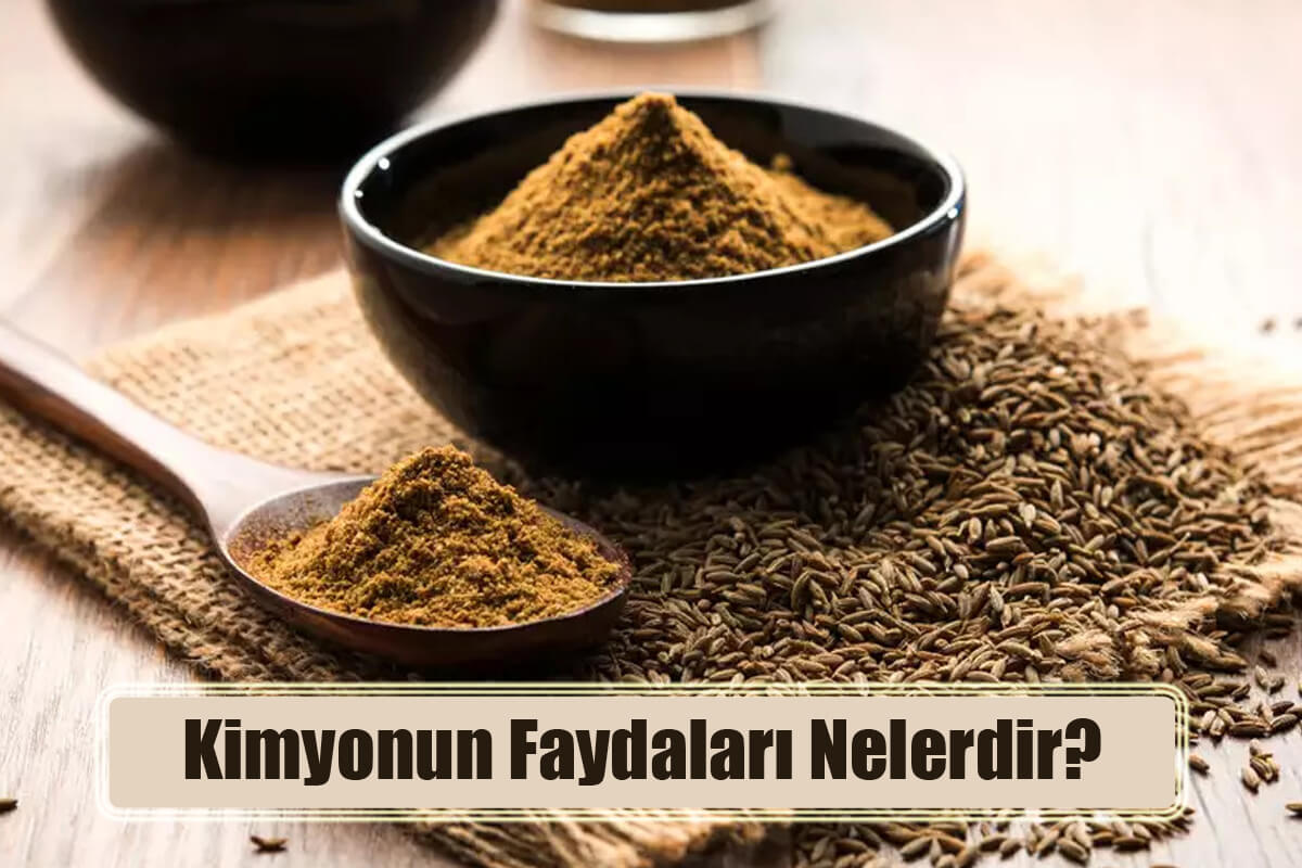 Kimyonun Faydaları Nelerdir? Nerelerde Kullanılır?