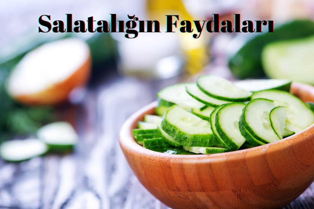 Salatalığın Faydaları