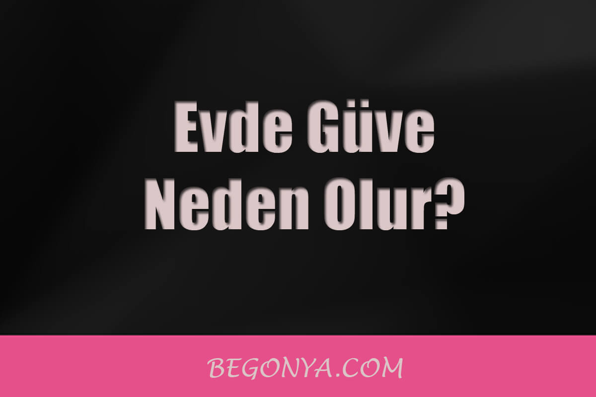 Evde Güve Neden Olur? Güveler Nasıl Beslenir?