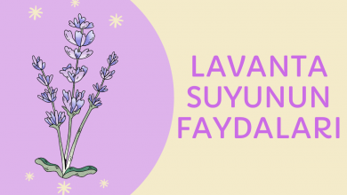 Lavanta Suyunun Faydaları