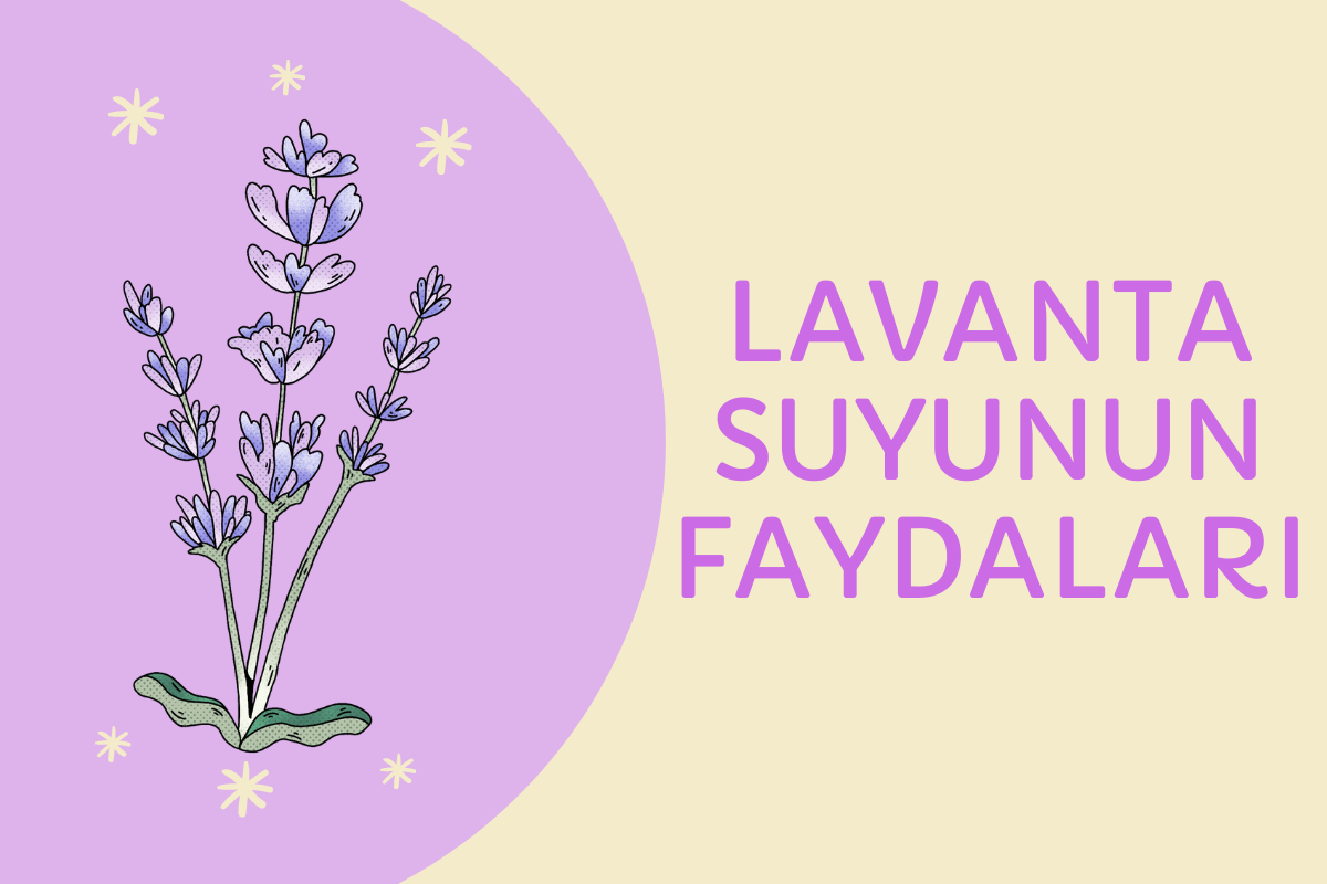 Lavanta Suyunun Faydaları