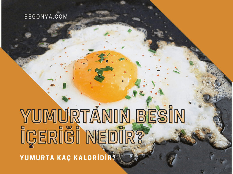 Yumurtanın Besin İçeriği Nedir? Yumurta Kaç Kaloridir?