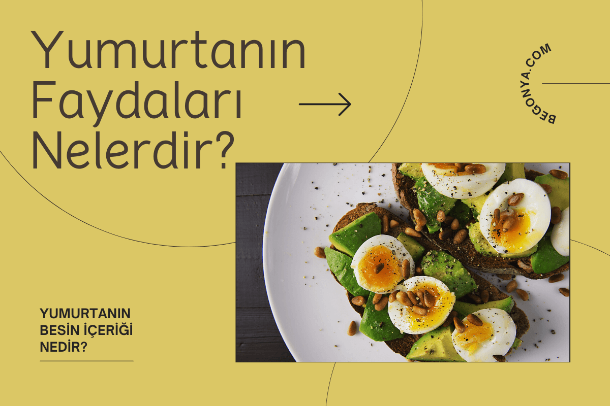 Yumurtanın Faydaları Nelerdir?