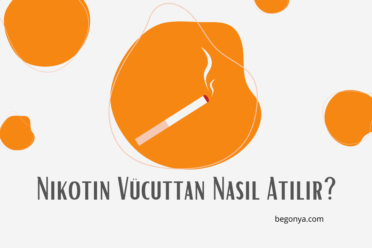 Nikotin Vücuttan Nasıl Atılır?