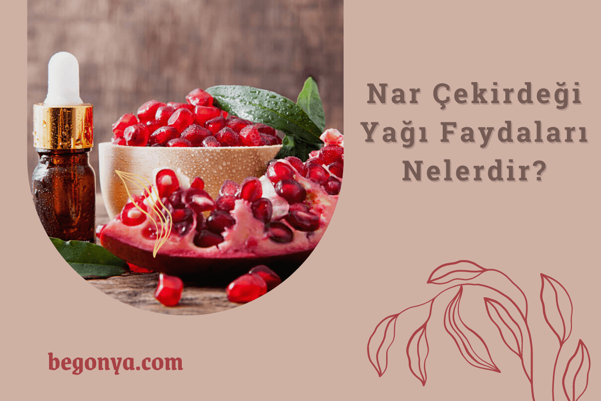 Nar Çekirdeği Yağı Faydaları Nelerdir?