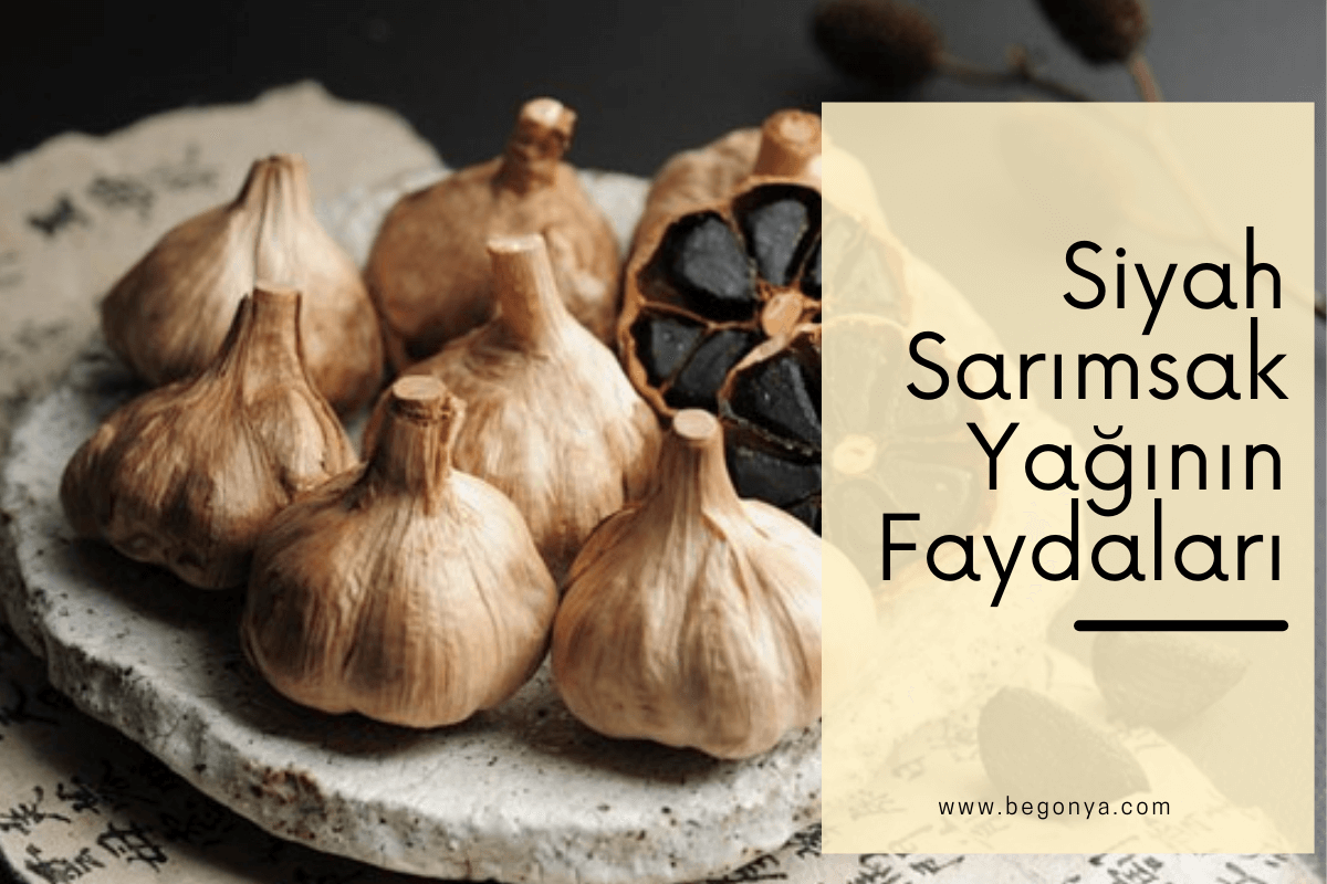 Siyah Sarımsak Yağının Faydaları Nelerdir?