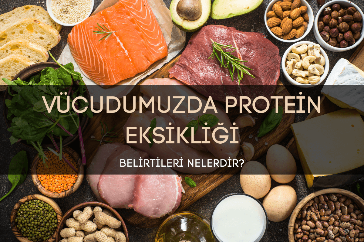 Vücudumuzda Protein Eksikliğinin Belirtileri Nelerdir?