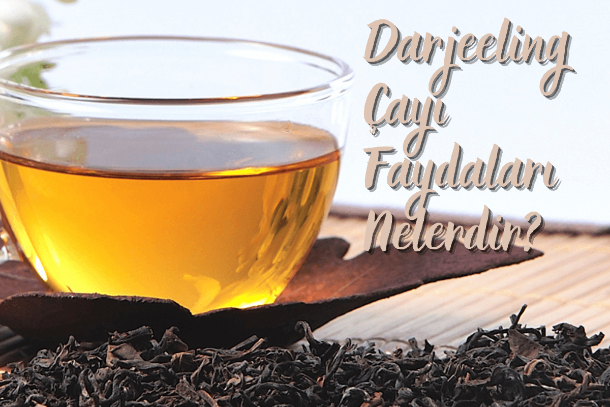 Darjeeling Çayı Nedir? Faydaları Nelerdir?