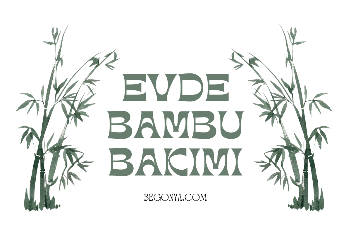 Evde Bambu Bakımı Nasıl Yapılır?