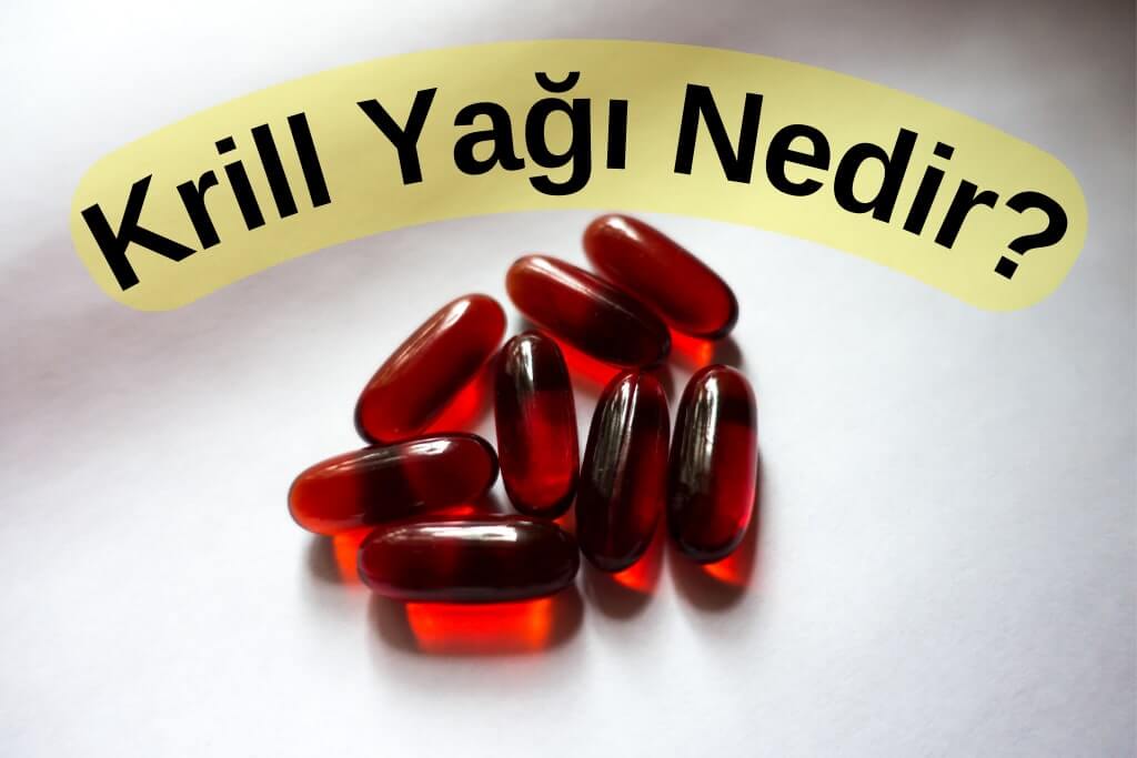 Krill Yağı Nedir?