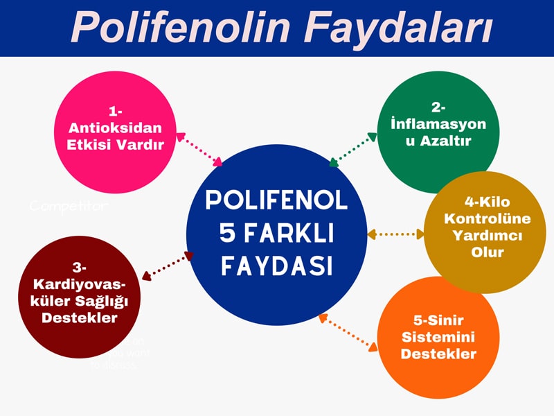 Polifenolin faydaları 