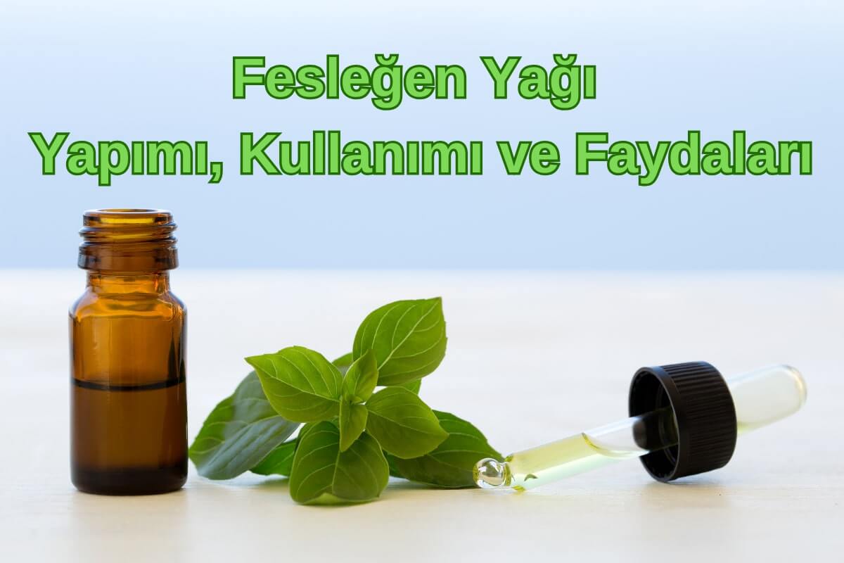 Fesleğen Yağı Yapımı