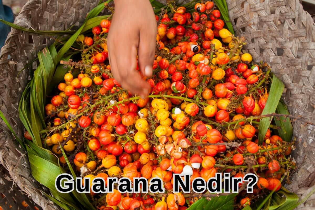 Guarana Nedir?
