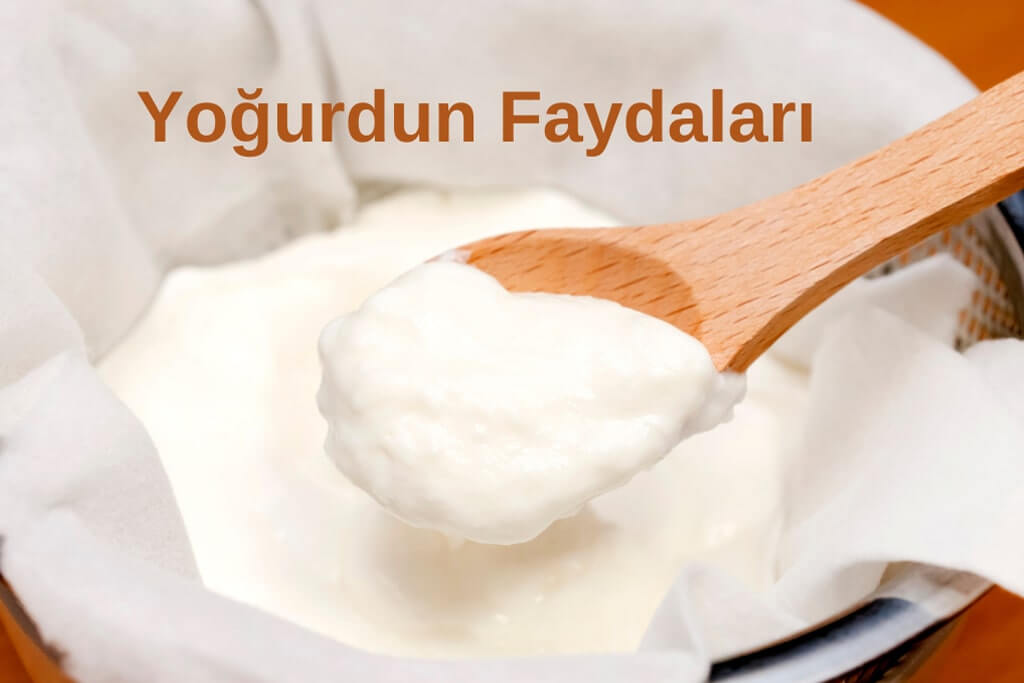 Yoğurdun Faydaları