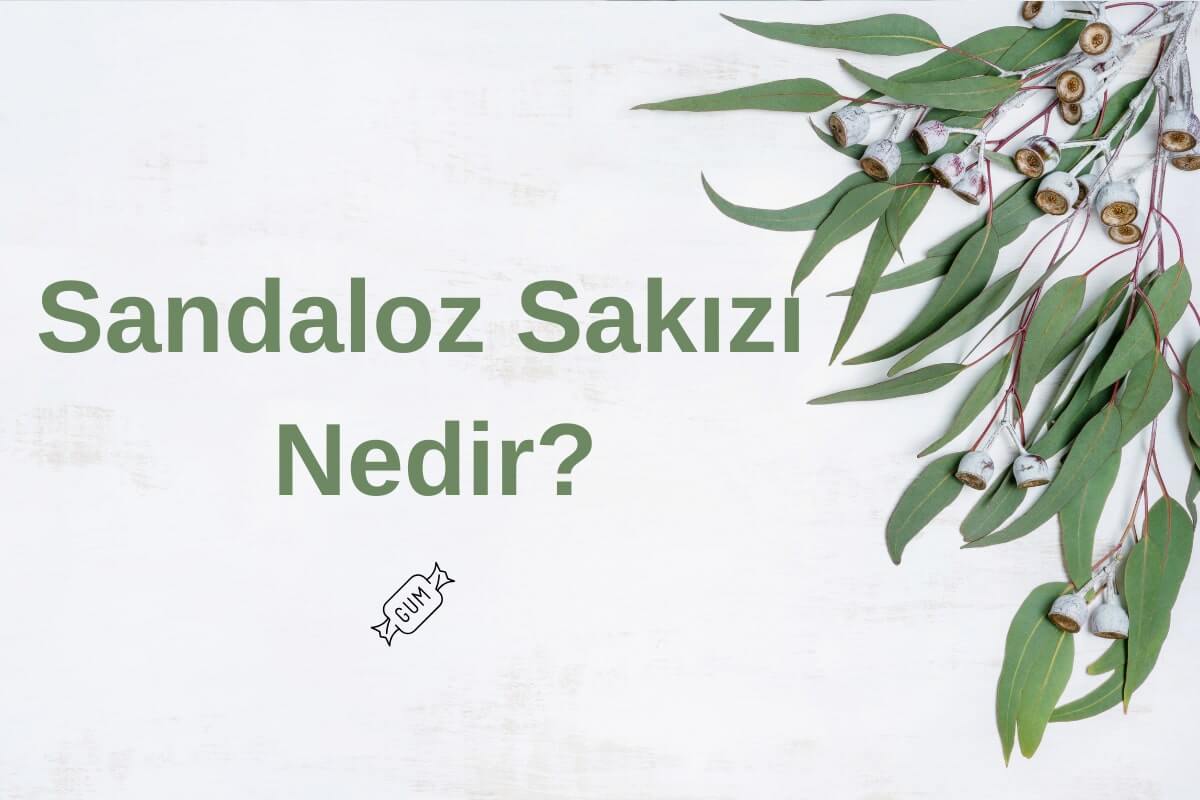 Sandaloz Sakızı