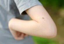 Yakarca sineklerinin tasidigi enfeksiyonlar