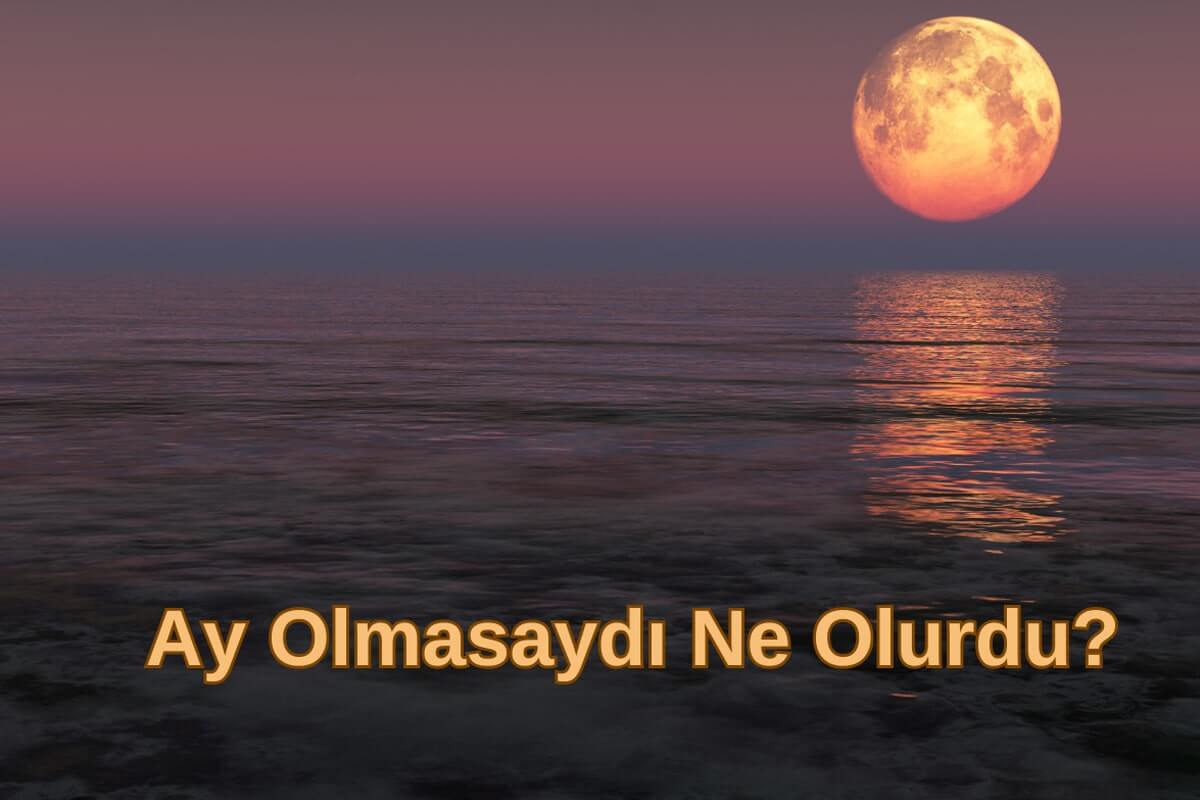 Ay Olmasaydı