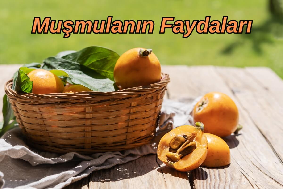 Muşmulanın Faydaları