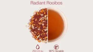 Rooibos Çayı Nedir?