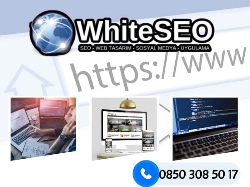 Web Sitesi İçin En İyi Hizmetler WhiteSEO’da 2024
