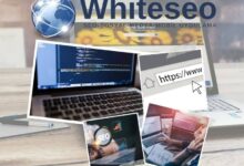 Web Sitesi İçin En İyi Hizmetler WhiteSEO’da 2024 Andropoz