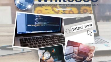 Web Sitesi İçin En İyi Hizmetler WhiteSEO’da 2024