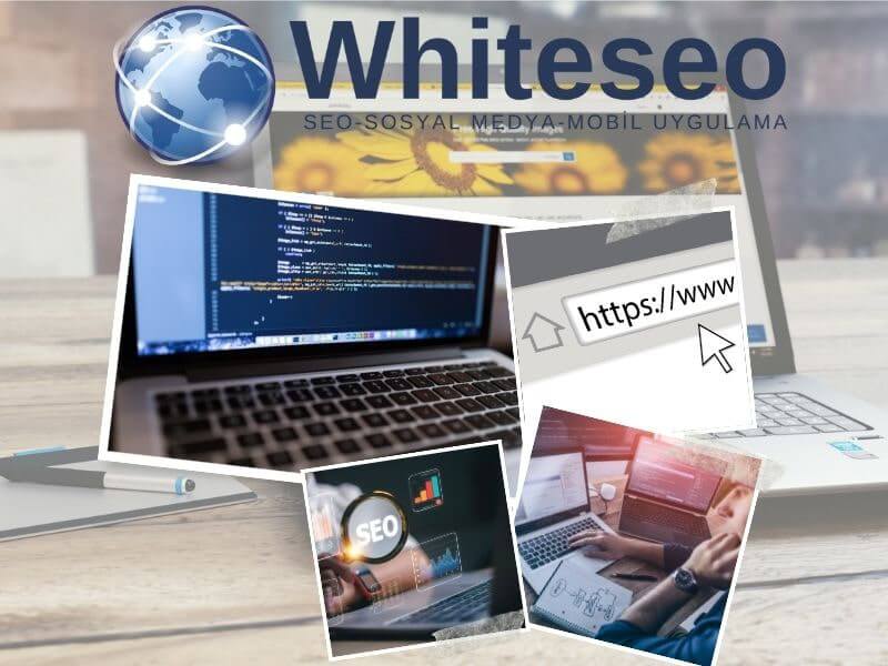 Web Sitesi İçin En İyi Hizmetler WhiteSEO’da 2024