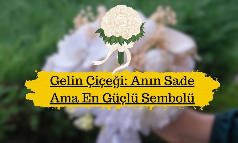 Gelin Çiçeği
