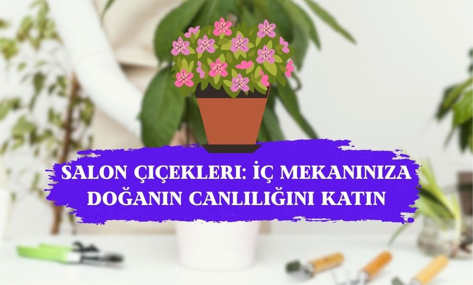 Salon Çiçekleri: İç Mekanınıza Doğanın Canlılığını Katın