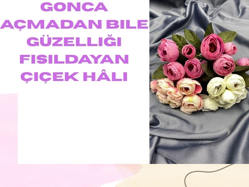 Gonca: Açmadan Bile Güzelliği Fısıldayan Çiçek Hâli 2026 gonca Gonca: Açmadan Bile Güzelliği Fısıldayan Çiçek Hâli 2026 gonca