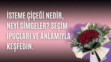 İsteme çiçeği nedir, neyi simgeler? Seçim ipuçları ve anlamıyla bu özel geleneğin duygusal yönünü keşfedin.