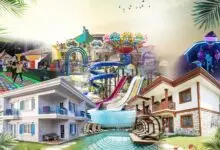 Mola İstanbul Hakkında Puan ve Yorum Değerlendirmesi 2026 Zeytin Yaprağı Sabunu