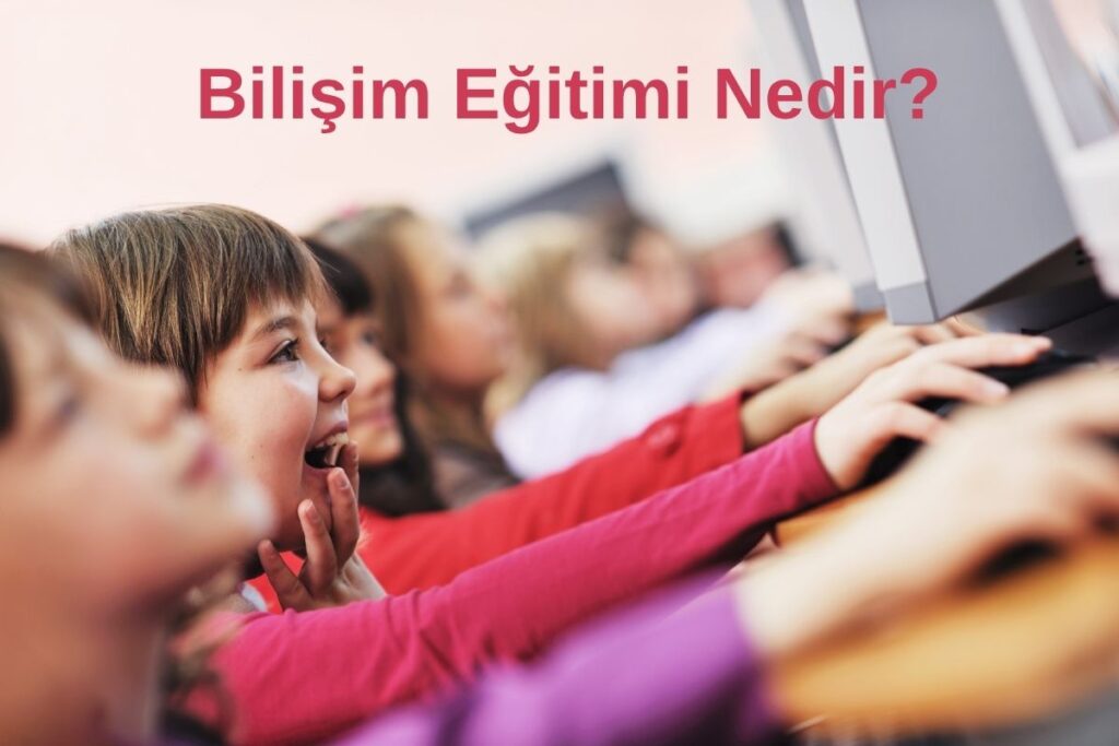 Bilişim Eğitimi Nedir
