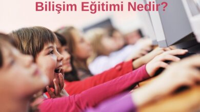 Bilişim Eğitimi Nedir